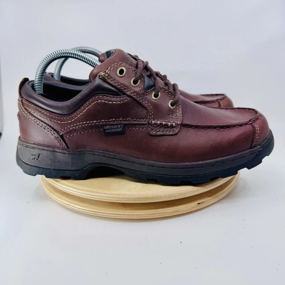 Irish Setter red wing
